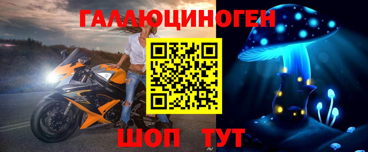 Бирск  Псилоцибиновые грибы мухоморы  Вход с VPN  Псилоцибиновые грибы Psilocybe 